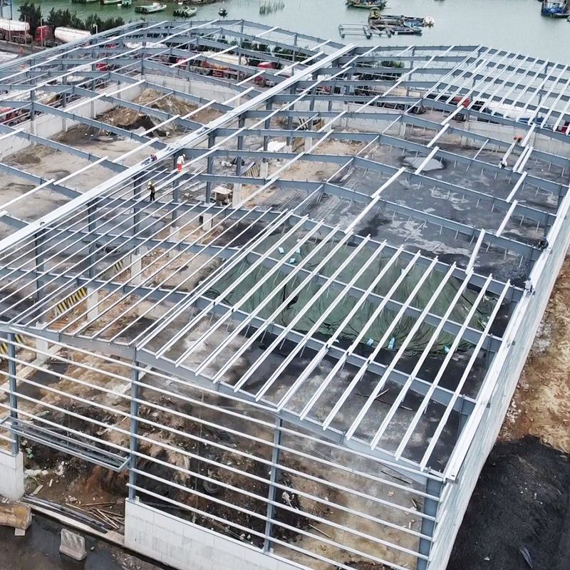 Steel Frame Storage Building Steel Frame Storage Building
